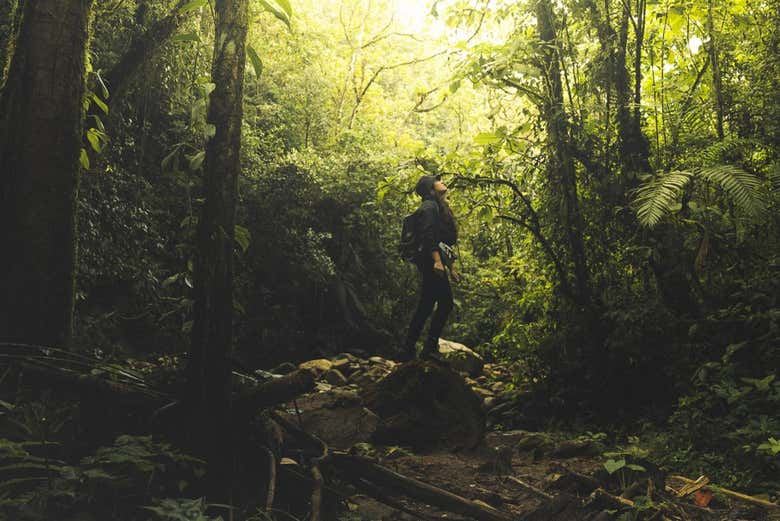 Chorro de las Campanas Waterfall Trip from Montañita Hostel, 5 Hours (10/12)