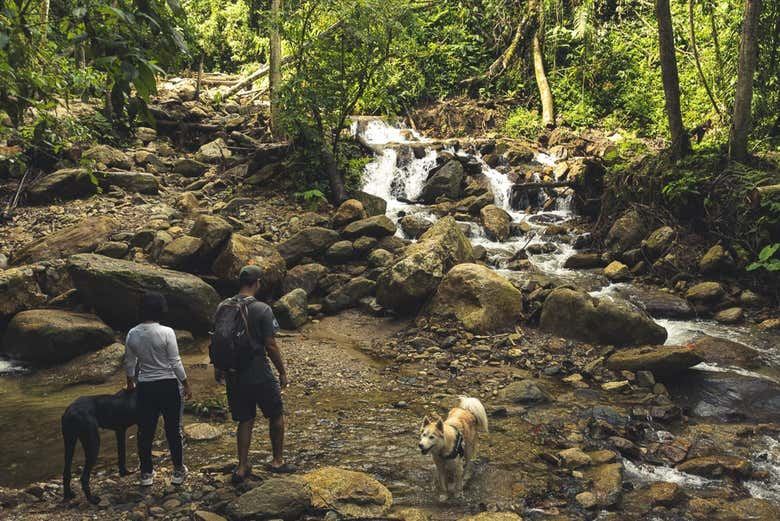 Chorro de las Campanas Waterfall Trip from Montañita Hostel, 5 Hours (12/12)