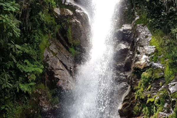 Chorro de las Campanas Waterfall Trip from Montañita Hostel, 5 Hours