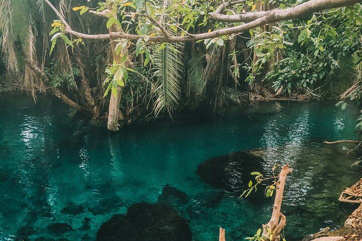 Full-Day Materuni Waterfall, Coffee Village and Kikuletwa Hot Spring Trip with Snacks (6/6)