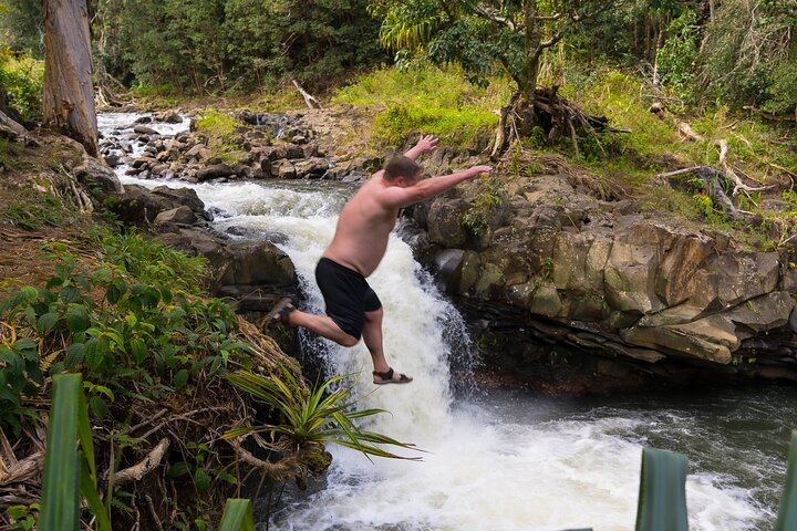 Small Group Hana Highway Waterfall Hike with Lunch from Kahului Park and Ride (1/11)