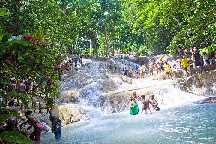 Dunn's River Falls and Luminous Lagoon Evening Tour from Montego Bay (11/12)