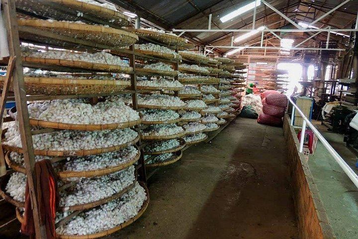 Private Dalat Countryside Tour: Pongour, Elephant Falls, K'Ho Village and Coffee Farm (10/12)