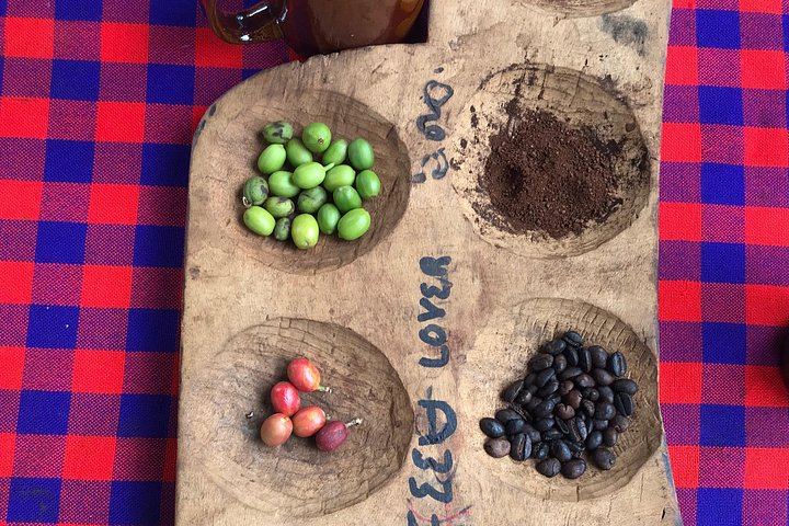 Half-Day Private Materuni Waterfalls and Chagga Coffee Tour with Local Guide (11/12)