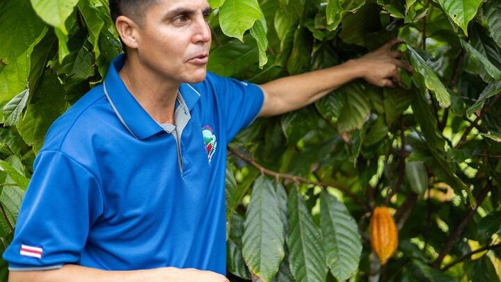 Private Spring Paradise Sloth Park, Coffee and Cacao Farm and Llanos de Cortez Waterfall (3/12)
