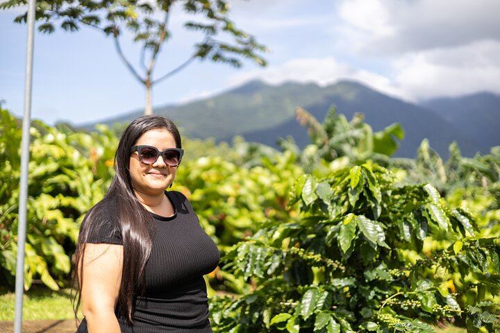 Private Spring Paradise Sloth Park, Coffee and Cacao Farm and Llanos de Cortez Waterfall (6/12)