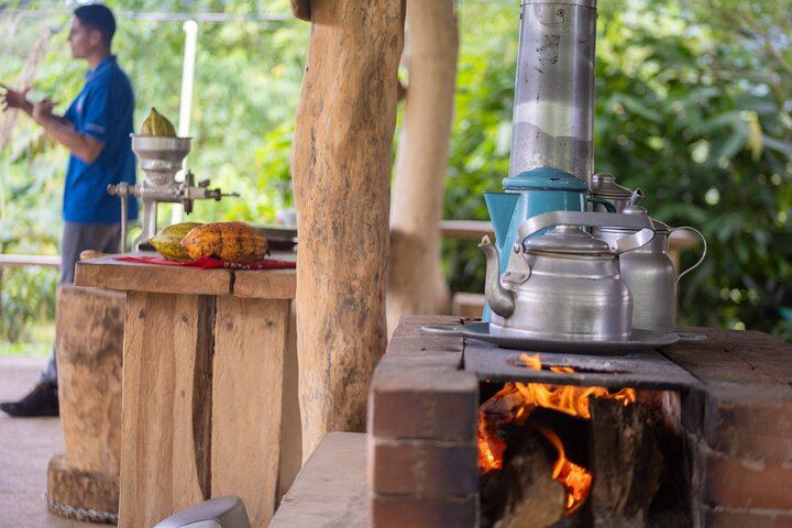 Private Spring Paradise Sloth Park, Coffee and Cacao Farm and Llanos de Cortez Waterfall (5/12)