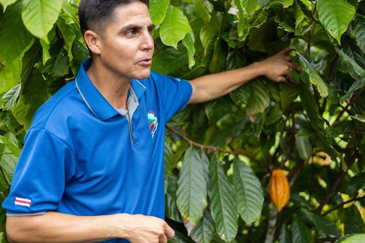 Private Spring Paradise Sloth Park, Coffee and Cacao Farm and Llanos de Cortez Waterfall (3/12)