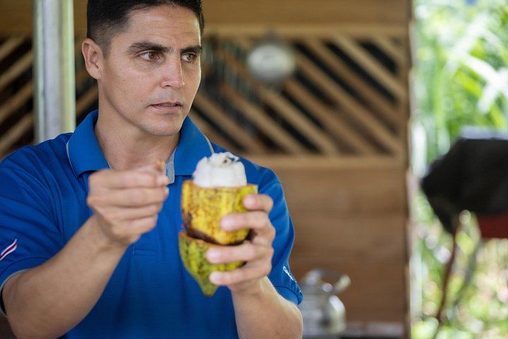 Private Spring Paradise Sloth Park, Coffee and Cacao Farm and Llanos de Cortez Waterfall (10/12)