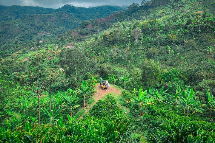 Private Day Tour to Jardín: Willys Jeep to Waterfalls, Coffee and Town Square (10/12)