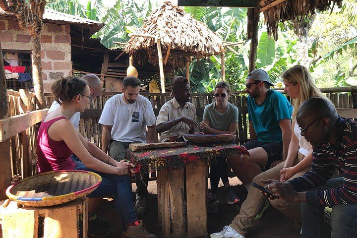 Half-Day Private Materuni Waterfalls and Chagga Coffee Tour with Local Guide (9/12)