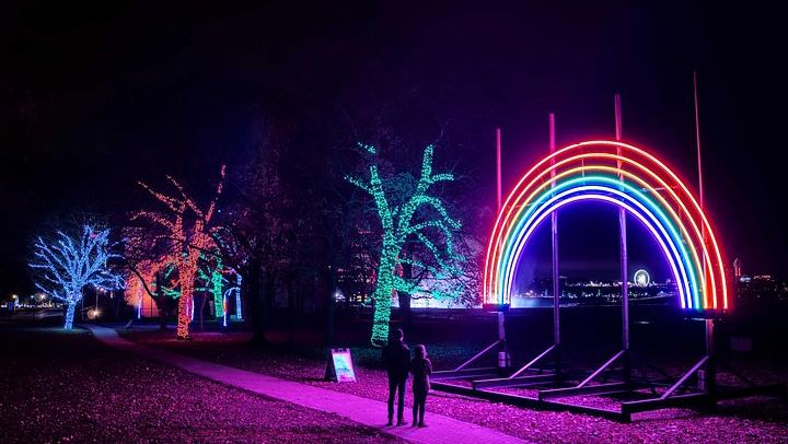 Niagara Falls Festival of Lights Evening Tour from Toronto with Maple Tasting (4/12)