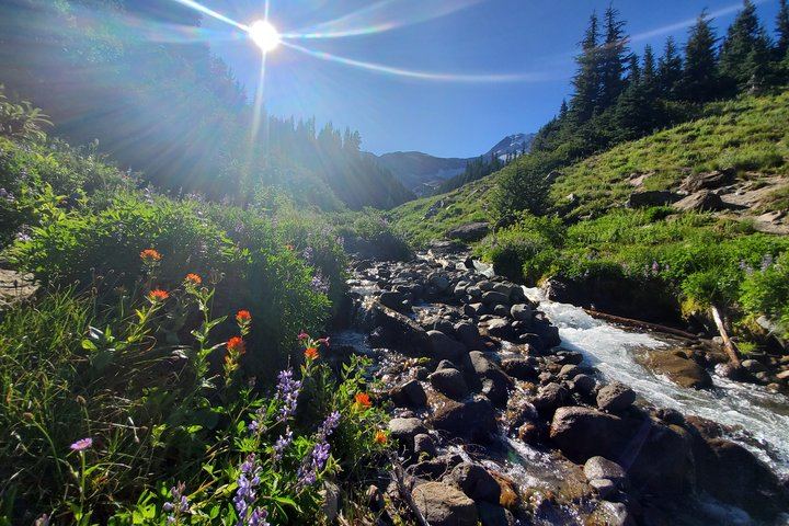 Full-Day Gorge Waterfalls, Hood River and Mt. Hood Loop with Local Guide (9/12)
