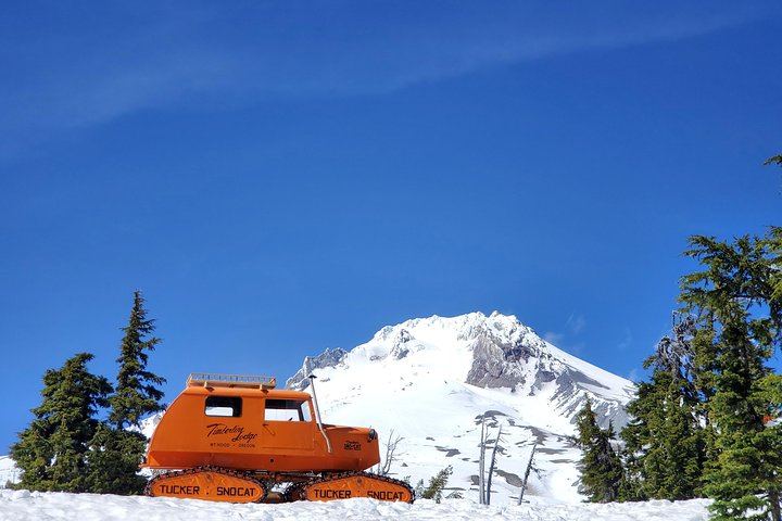 Full-Day Gorge Waterfalls, Hood River and Mt. Hood Loop with Local Guide (6/12)