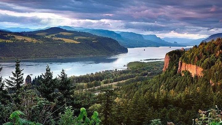 Eight-Hour Waterfalls and Wine Tour: Multnomah Falls, Hood River, Vineyards (1/12)