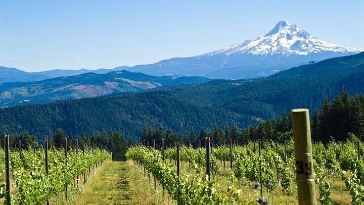 Family-Run Columbia Gorge Waterfall Tour: Multnomah, Latourell, Vista House (2/5)