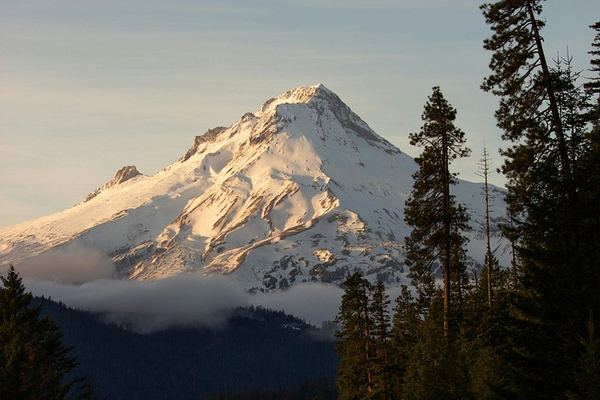 Columbia Gorge Waterfalls, Hood River and Timberline Lodge Day Tour, Portland