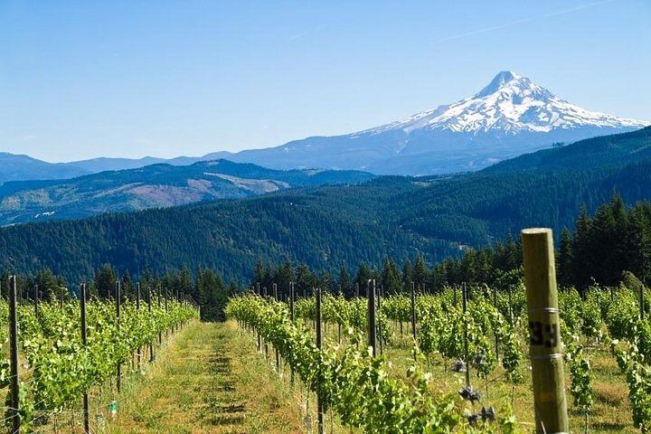 Family-Run Columbia Gorge Waterfall Tour: Multnomah, Latourell, Vista House (2/5)