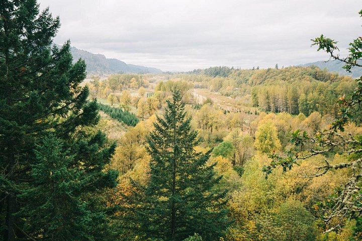 Half-Day Historic Highway Waterfalls Tour: Multnomah, Latourell, Horsetail (10/12)