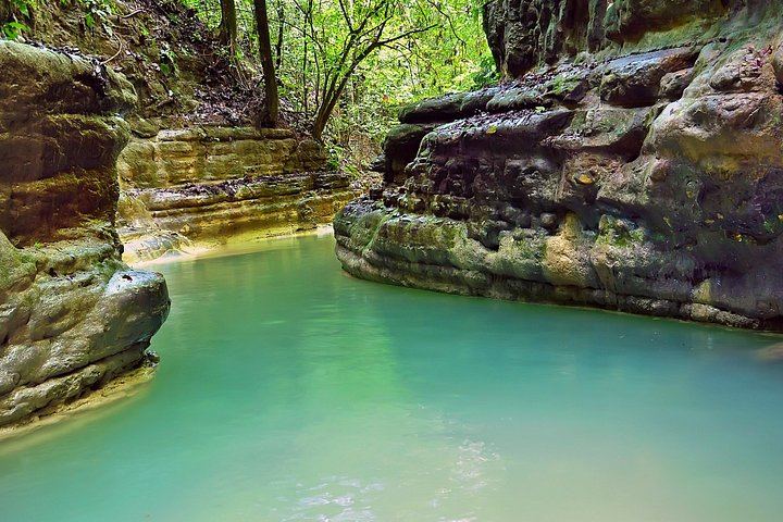 Damajagua 12 Waterfalls by Safari Truck from Puerto Plata, La Virgen and La Tinajita (4/6)