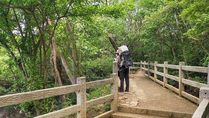 Private Rincon de la Vieja Hike and Oropendola Waterfall Swim with Hotel Pickup (3/7)