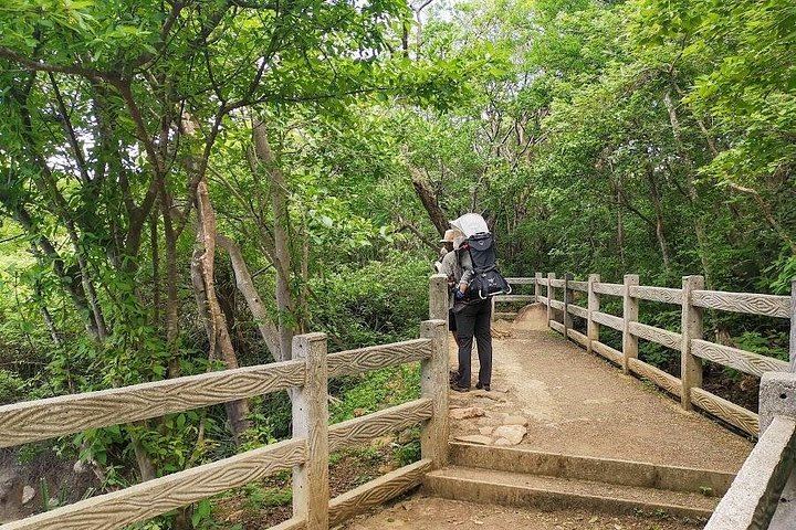 Private Rincon de la Vieja Hike and Oropendola Waterfall Swim with Hotel Pickup (3/7)