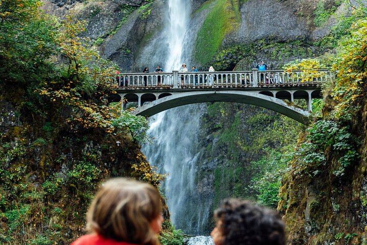 Small-Group Half-Day Waterfall Alley Tour with Local Stories from Director Park (7/12)