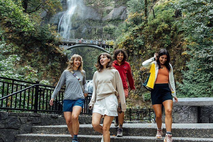 Small-Group Half-Day Waterfall Alley Tour with Local Stories from Director Park (6/12)