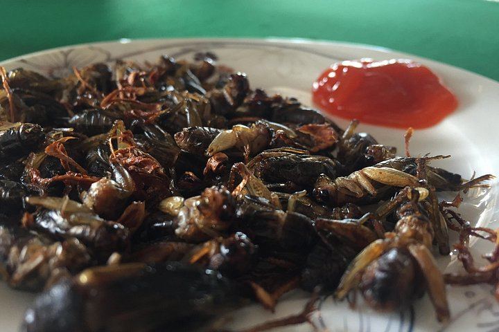 Dalat Countryside and Three Waterfalls Day: Flower Village, Silk Factory, Cricket Farm (6/9)
