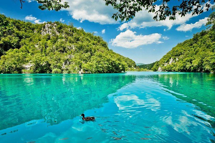 Gray Line Croatia Plitvice Lakes Guided Tour from Split, Trogir or Omis (9/11)