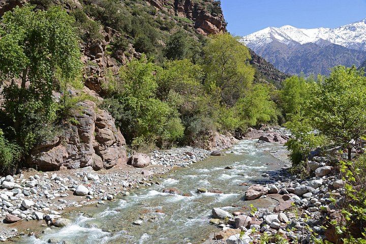 Ourika Valley Day Trip from Marrakech: Private or Shared Waterfall Hike and Artisans (12/12)