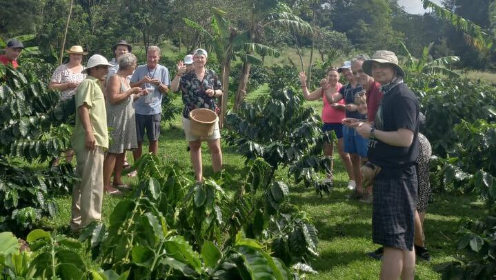 Tenorio-Miravalles Corridor Hike, Coffee and Chocolate Farm, Butterfly Lunch and Falls (2/12)