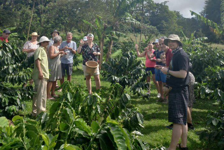 Tenorio-Miravalles Corridor Hike, Coffee and Chocolate Farm, Butterfly Lunch and Falls (2/12)