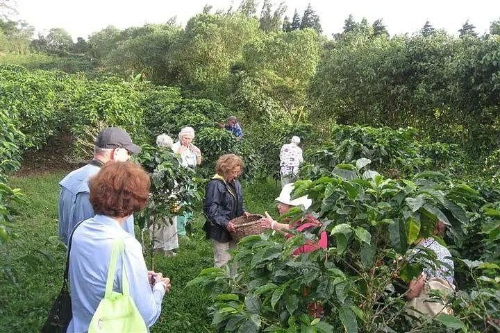 Tenorio-Miravalles Corridor Hike, Coffee and Chocolate Farm, Butterfly Lunch and Falls (5/12)