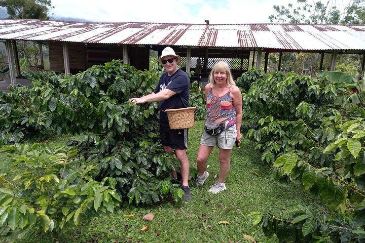 Tenorio-Miravalles Corridor Hike, Coffee and Chocolate Farm, Butterfly Lunch and Falls (4/12)