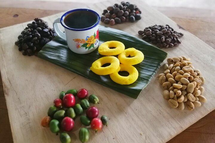 Tenorio-Miravalles Corridor Hike, Coffee and Chocolate Farm, Butterfly Lunch and Falls (8/12)
