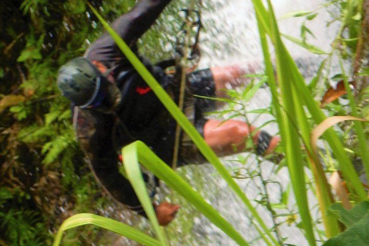 Anahola Private Jungle Waterfall Hike with Charlie the Hawaiian Dundee, 4WD Jeep Transfer (5/12)