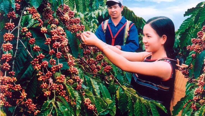 Private Dalat Countryside Tour: Pongour, Elephant Falls, K'Ho Village and Coffee Farm (2/12)