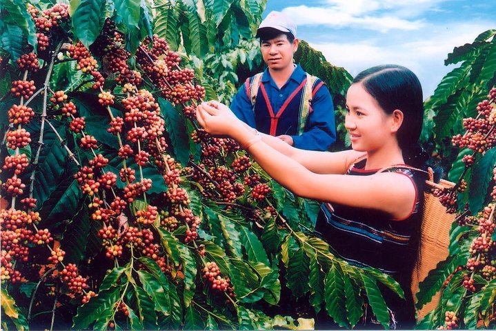 Private Dalat Countryside Tour: Pongour, Elephant Falls, K'Ho Village and Coffee Farm (2/12)