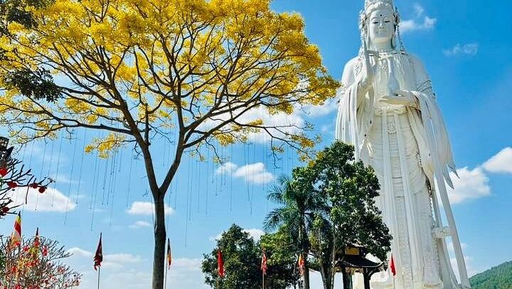 Private Dalat Countryside Tour: Pongour, Elephant Falls, K'Ho Village and Coffee Farm (3/12)