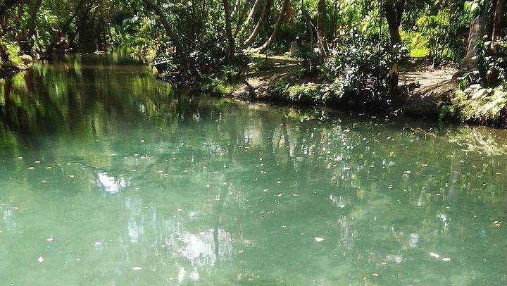 Damajagua 7 Waterfalls with Damajuana Shot and Imbert Chocolate Stop, Amber Cove Pickup (3/12)