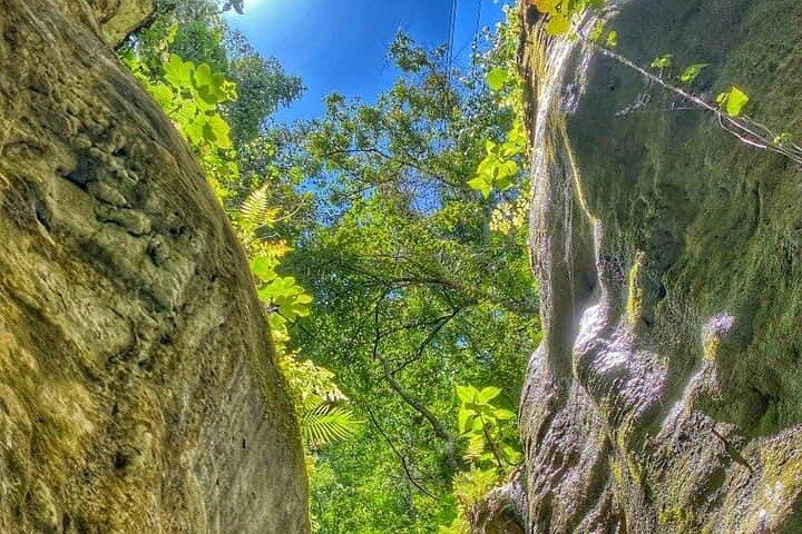 Damajagua 7 Waterfalls with Damajuana Shot and Imbert Chocolate Stop, Amber Cove Pickup (7/12)
