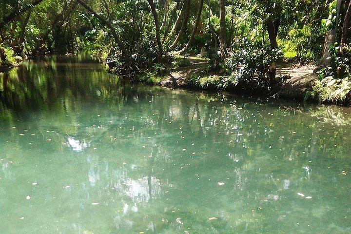 Damajagua 7 Waterfalls with Damajuana Shot and Imbert Chocolate Stop, Amber Cove Pickup (3/12)