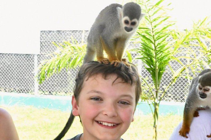Damajagua Waterfalls and Monkey Home Puerto Plata, 4.5 Hours with Local Tasting (8/12)