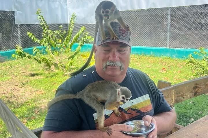 Damajagua Waterfalls and Monkey Home Puerto Plata, 4.5 Hours with Local Tasting (11/12)