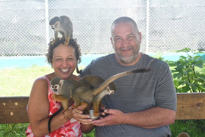Damajagua Waterfalls and Monkey Home Puerto Plata, 4.5 Hours with Local Tasting (7/12)