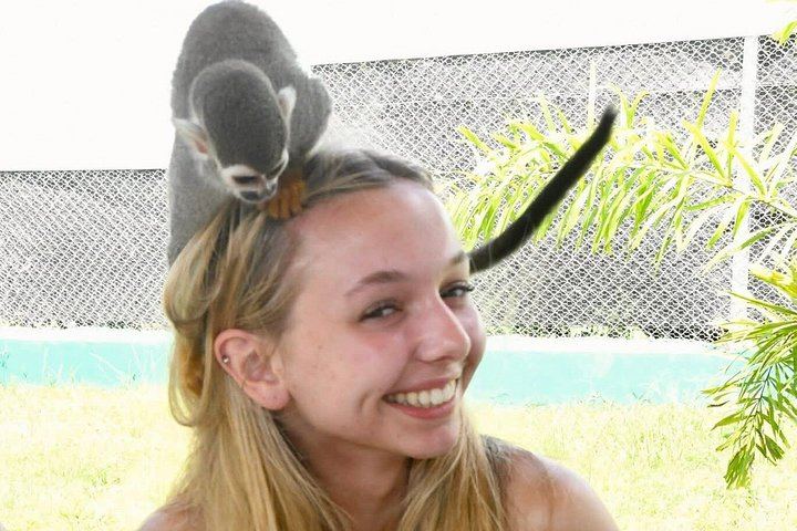 Damajagua Waterfalls and Monkey Home Puerto Plata, 4.5 Hours with Local Tasting (9/12)