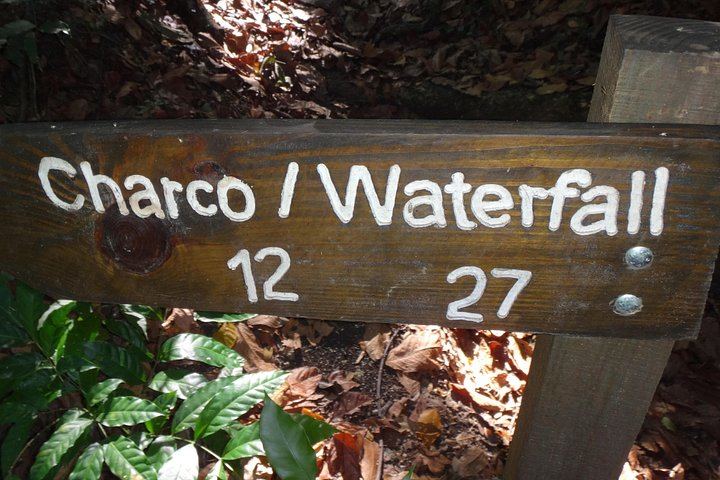 Damajagua 7 Falls or 7 Falls plus 5 Zip Lines, Shore Excursion by Time in Port (6/6)