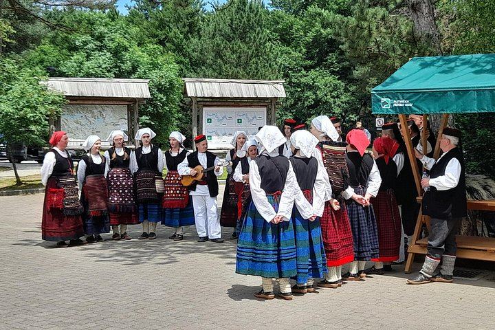 Plitvice Lakes Small-Group Day Tour from Zadar with Admission and Licensed Guide (5/5)