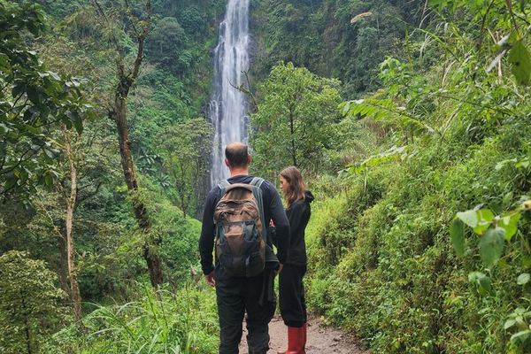 Materuni Coffee Tour and Waterfall Day Trip with Packed Lunch from Moshi